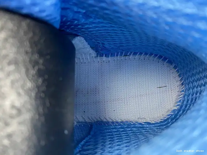 Rep LUCY 5 Jordan UNC DV1310-401 Air 0508